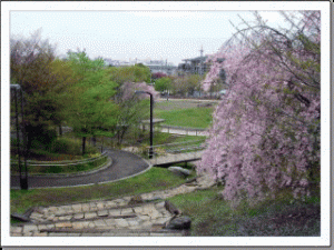 清水坂公園 このあたりは字・割子沢と呼ばれた